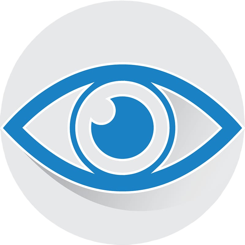 Our Vision Logo